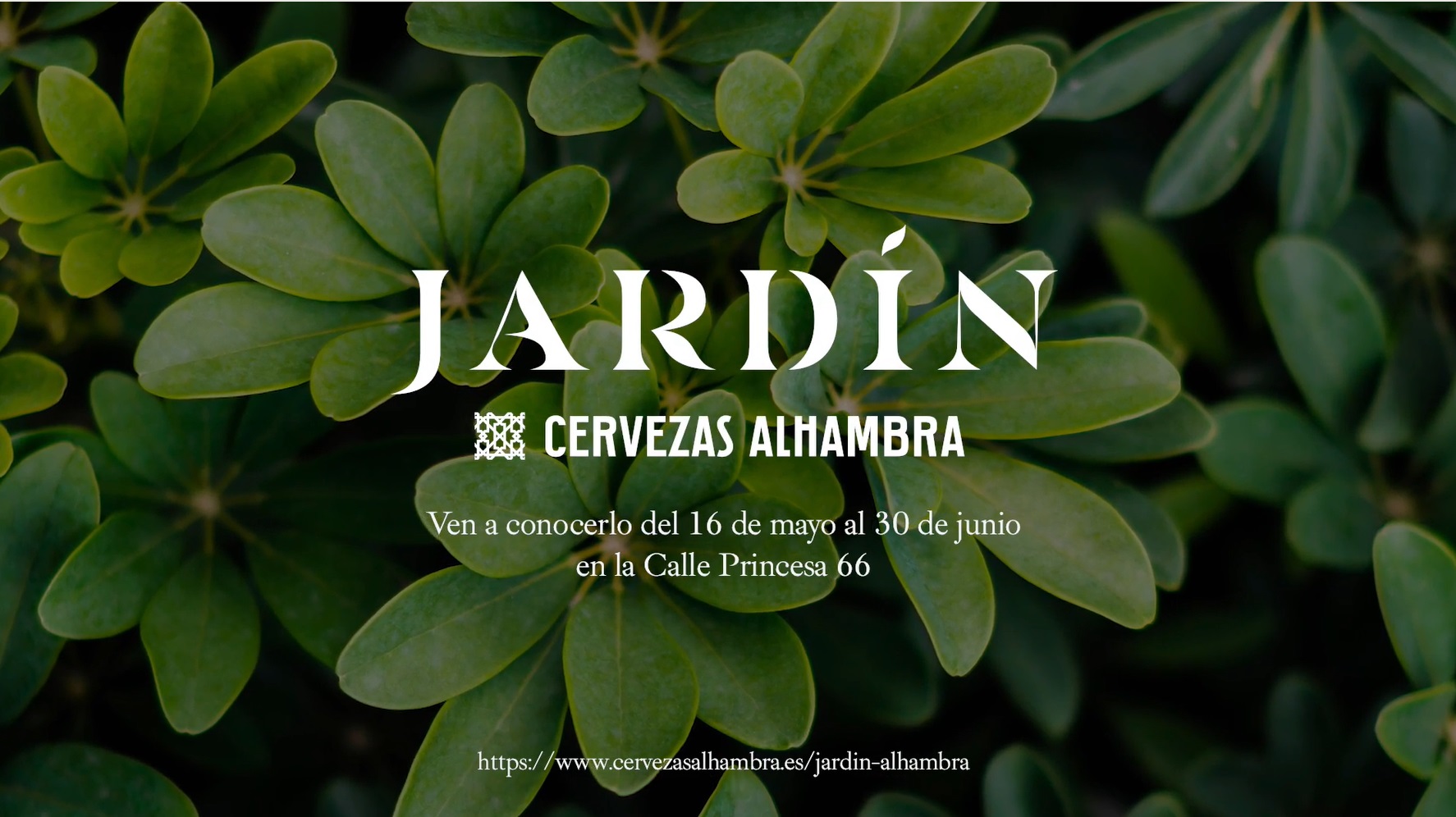 jardin, cervezas, alhambra, programapublicidad,