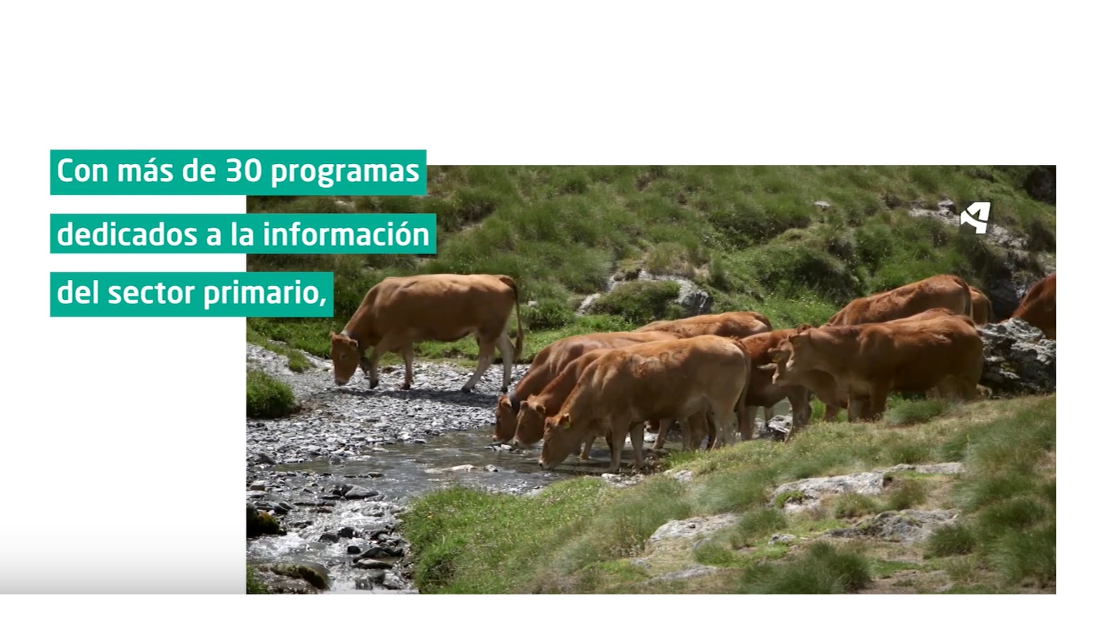 forta, video, 30 programas, agricultura, campo, autonomicas, movistar, programapublicidad