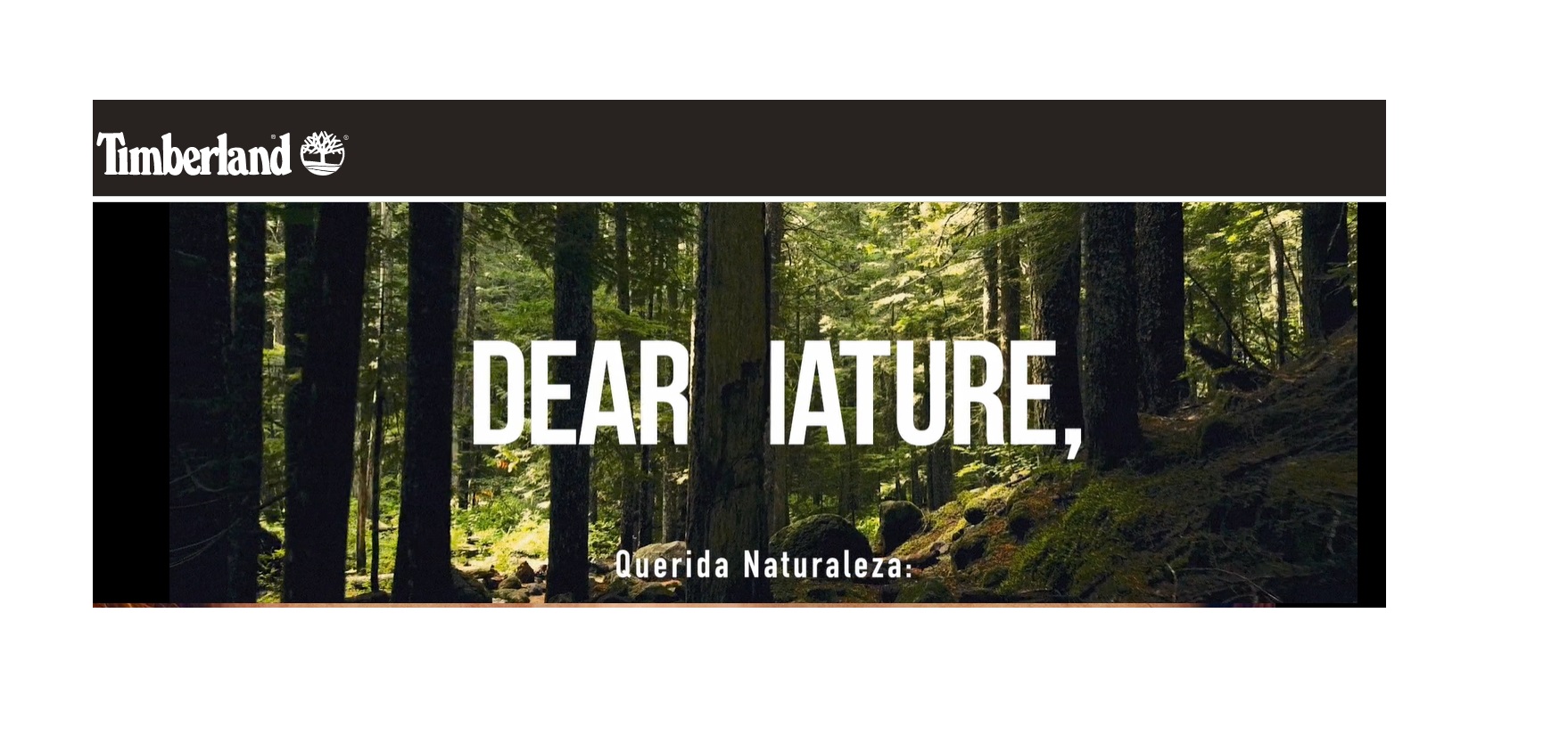 dear Nature, Timberland, nature needs, heroes, programapublicidad
