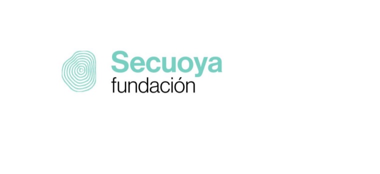 secuoya fundación, programapublicidad