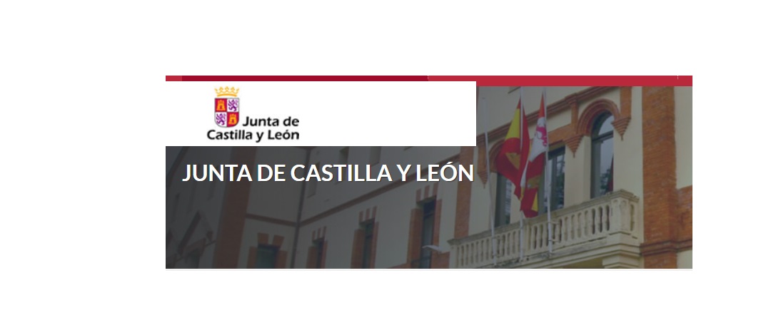 junta, castilla y leon, programapublicidad