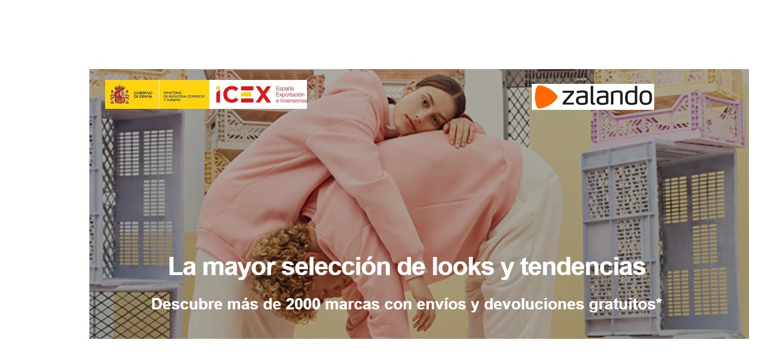 icex, zalando, programapublicidad