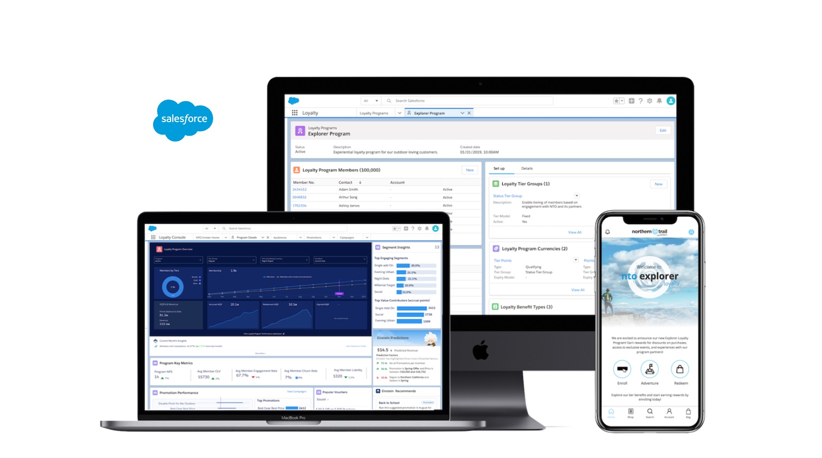 Salesforce ,Loyalty Management ,programapublicidad