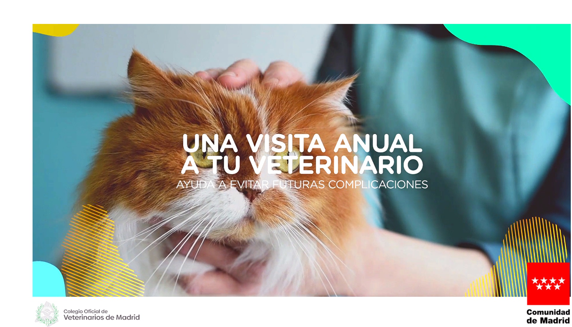 AMT COMUNICACIÓN, comunidad madrid, mascotas, Colegio de Veterinarios de Madrid , COLVEMA, agencia ,Cuidándolos, nos cuidamos, programapublicidad