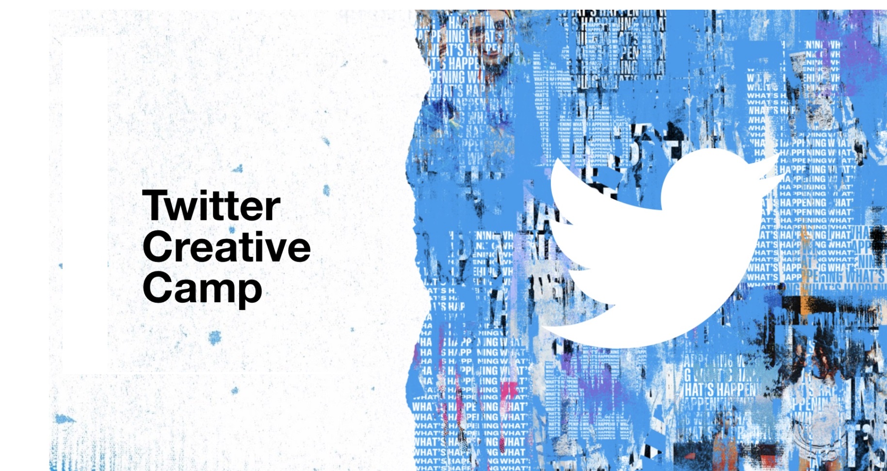 twitter Creative Camp, programapublicidad