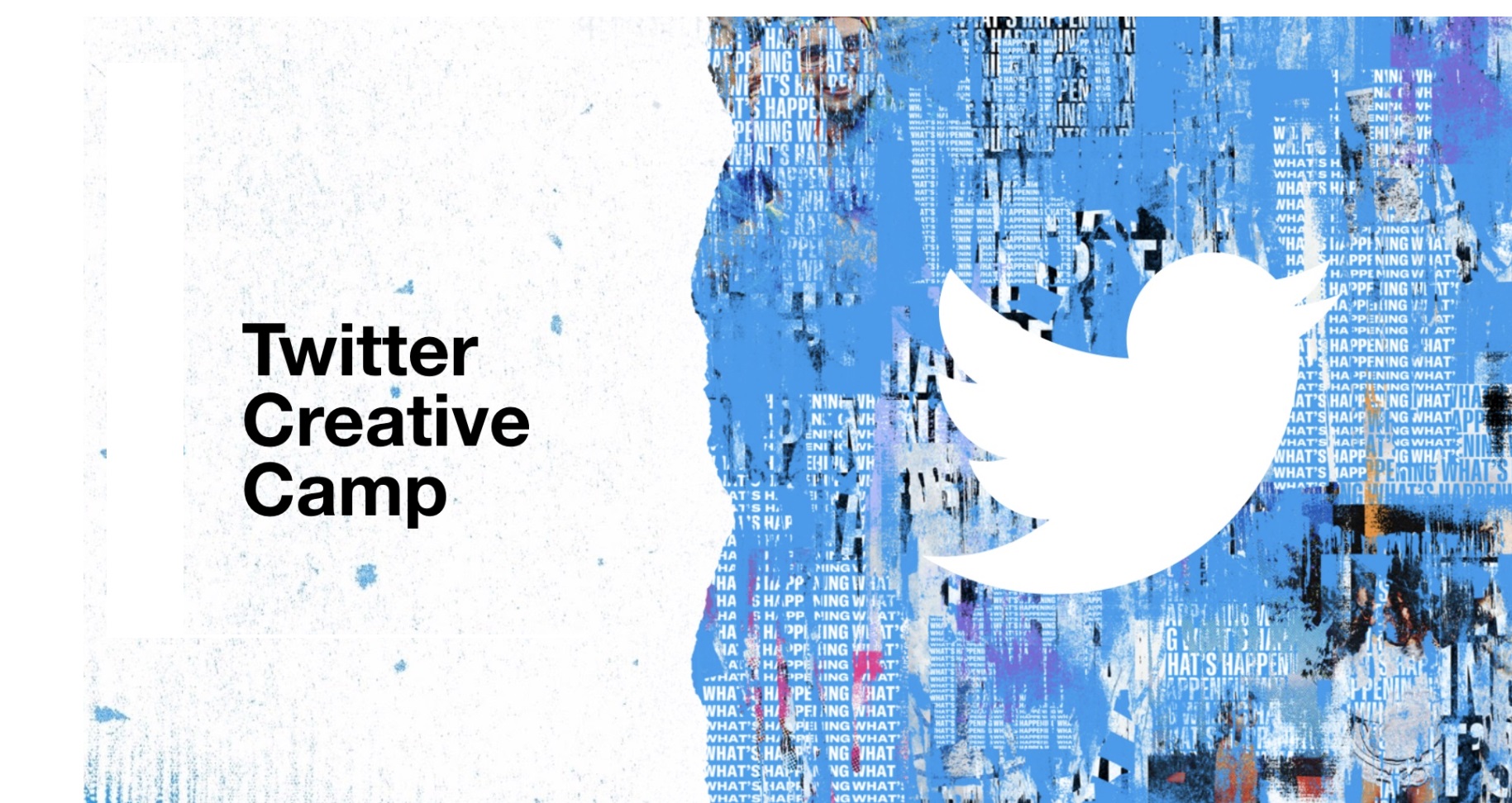 twitter Creative Camp, programapublicidad